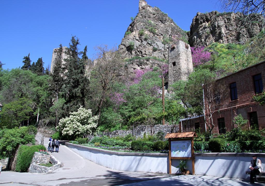 Apartment On Botanikuri Tbilisi Værelse billede